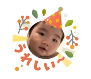 808146404