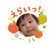 808147036