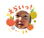 808151001