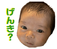808152865