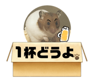 808153531