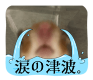 808153534