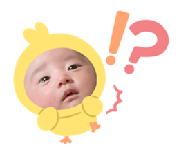 808154644