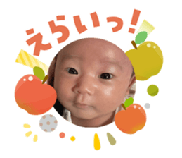 808154648