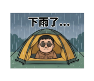 808156804