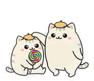 808156825