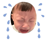 808157327