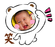 808157528