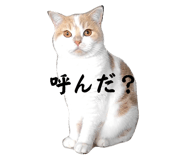 808158610