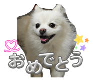 808158830