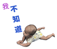 808162549