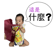 808162550