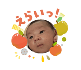 808164705