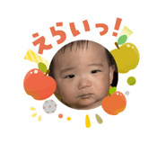808164755