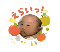 808165068