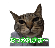 808165153