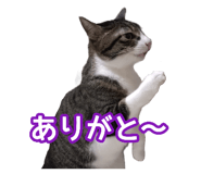 808165154