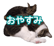 808165155