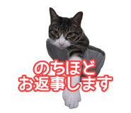 808165160