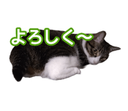 808165167