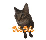 808165168