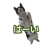 808165170
