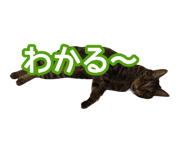808165172