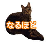 808165174