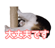 808165179