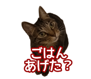 808165184