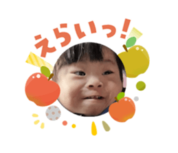 808165401