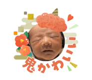 808171586