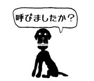808174161