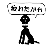 808174162