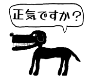 808174164
