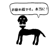 808174165