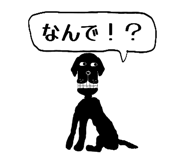 808174167