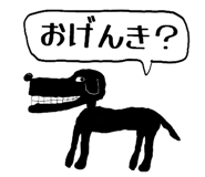 808174170