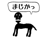 808174171