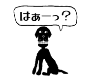 808174172