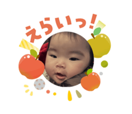 808174559