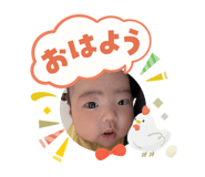 808174646