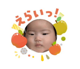808175003