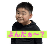 808176529