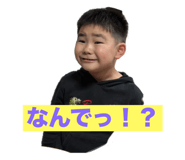 808176530