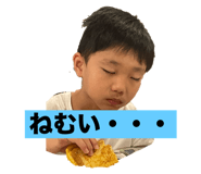 808176531