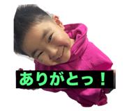 808176535