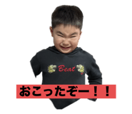 808176536