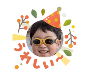 808179558