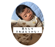 808179761